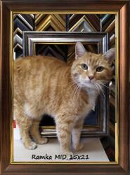 Marek & Darek Kész Keret Állításhoz Vagy Akasztáshoz 15X21 Garden Réz 18 MM (5904996595982)