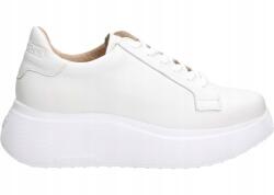 Wonders A-3626 36 Iliana Wild V Off (A-3626)