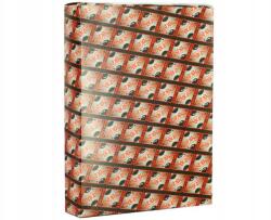 Ashika Motor Ashika KCKH01