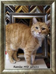 Marek & Darek Klasszikus képkeret falra és elhelyezésre 15x21 Garden ezüst (5904996593308)