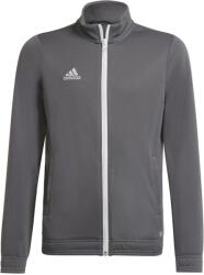 Adidas Hanorace băieți Adidas Kids Entrada 22 Track - grey (H57521)