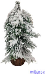 Fa talpas havas fenyő B