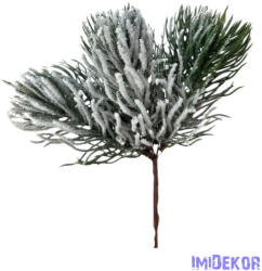  Havas fenyő pikk - Hosszú tűlevelű