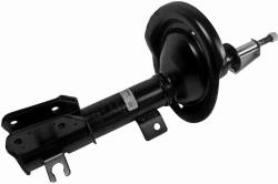 VAICO Amortizor VAICO V24-0157 (V24-0157)