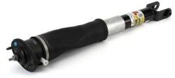 Arnott Amortizor Arnott MR-3442 (MR-3442)