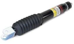 Arnott Amortizor Arnott SK-3062 (SK-3062)