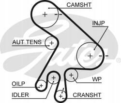Gates Vezérműszíj 5562XS/GTS