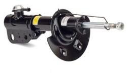 Arnott Amortizor Arnott SK-2952 (SK-2952)
