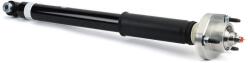 Arnott Amortizor Arnott SKE-3757 (SKE-3757)