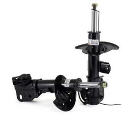 Arnott Amortizor Arnott SK-2167 (SK-2167)