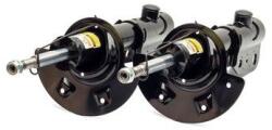 Arnott Amortizor Arnott SK-2189 (SK-2189)