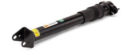 Arnott Amortizor Arnott SK-3356 (SK-3356)