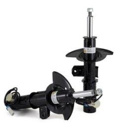 Arnott Amortizor Arnott SK-2178 (SK-2178)