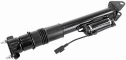VAICO Amortizor VAICO V30-3760 (V30-3760)