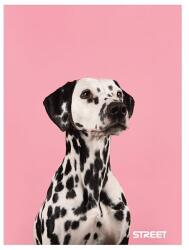 STREET Füzet kockás STREET A/4 54 lapos Friends (63321)