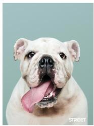 STREET Füzet vonalas STREET A/5 54 lapos Friends margóval (63323)