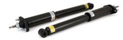 Arnott Amortizor Arnott SK-2225 (SK-2225)