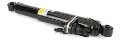 Arnott Amortizor Arnott SK-5018 (SK-5018)