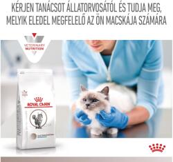 Royal Canin Multifunction Gastrointestinal Hydrolysed Protein - száraz eledel felnőtt macskák részére emésztési zavarokra és táplálékallergiára 2 kg