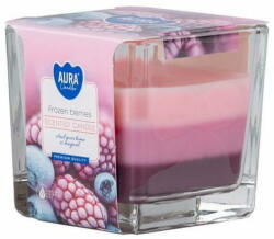 BISPOL Frozen Berries 170 g
