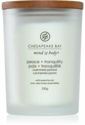 Chesapeake Bay Peace + Tranquility 250 g