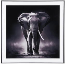 PT LIVING Kép 50x50 cm Elephant - PT LIVING