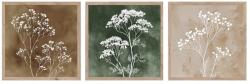 Styler Kép szett 3 db-os 30x30 cm Floral Imprint - Styler