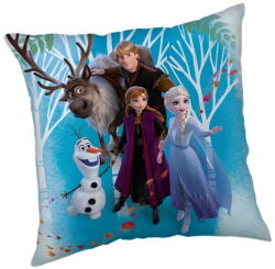 Jerry Fabrics Fleece gyerek párna Frozen "Family" - Jerry Fabrics