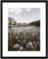 knor Kép 40x50 cm Meadow - knor