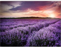 Wallity Kép 100x70 cm Lavender Field - Wallity