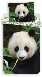 Jerry Fabrics Egyszemélyes pamut gyerek ágyneműhuzat 140x200 cm Panda - Jerry Fabrics