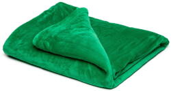 My House Zöld mikroplüss takaró, 150 x 200 cm - My House