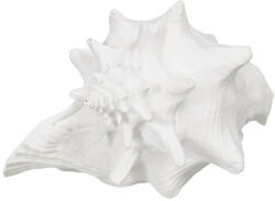 Ixia Poligyanta szobor (magasság 13 cm) Seashell - Ixia