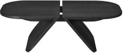 blomus Fekete tölgyfa dohányzóasztal 54x100 cm Avio - Blomus