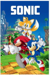 Jerry Fabrics Fleece gyerek takaró 100x150 cm Sonic - Jerry Fabrics