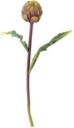 Bloomingville Művirág (magasság 54 cm) Protea - Bloomingville