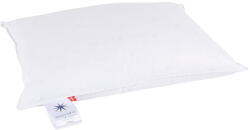 Universe of Sleeping Párna toll töltettel 50x70 cm Capella Low - Universe of Sleeping