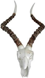 Deco Pleasure Poligyanta fali dekoráció 33x68 cm Impalak - Deco Pleasure