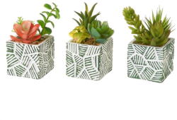 Casa Selección Műnövény szett 3 db-os (magasság 12 cm) Cactus - Casa Selección