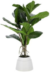 Kave Home Fikusz műnövény (magasság 60 cm) Lyrata - Kave Home
