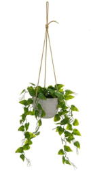 Casa Selección Műnövény (magasság 46 cm) - Casa Selección