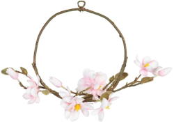 Ixia Koszorú Magnolia - Ixia