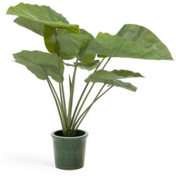 Kave Home Műnövény (magasság 57 cm) Odora - Kave Home