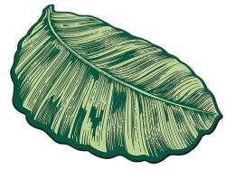 Foutastic Zöld fürdőszobai kilépő 60x100 cm Sheet - Foutastic