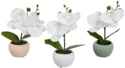 Casa Selección Műnövény szett 3 db-os (magasság 15 cm) Orchid - Casa Selección