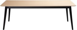 DAN-FORM Denmark Étkezőasztal tölgyfa dekoros asztallappal 100x200 cm Yolo - DAN-FORM Denmark