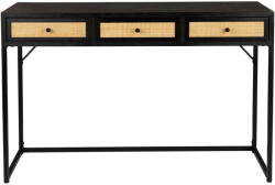 White Label Fekete konzolasztal 40x120 cm Guuji - White Label