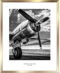 STYLER Floryda aranyszínű fali képkeret, 43 x 53 cm - Styler