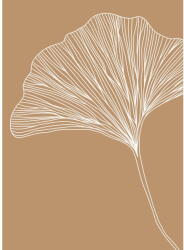 Veronika Boulová Poszter 29x41 cm Gingko - Veronika Boulová