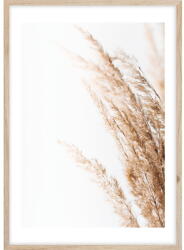 Styler Kép 50x70 cm Beige II - Styler